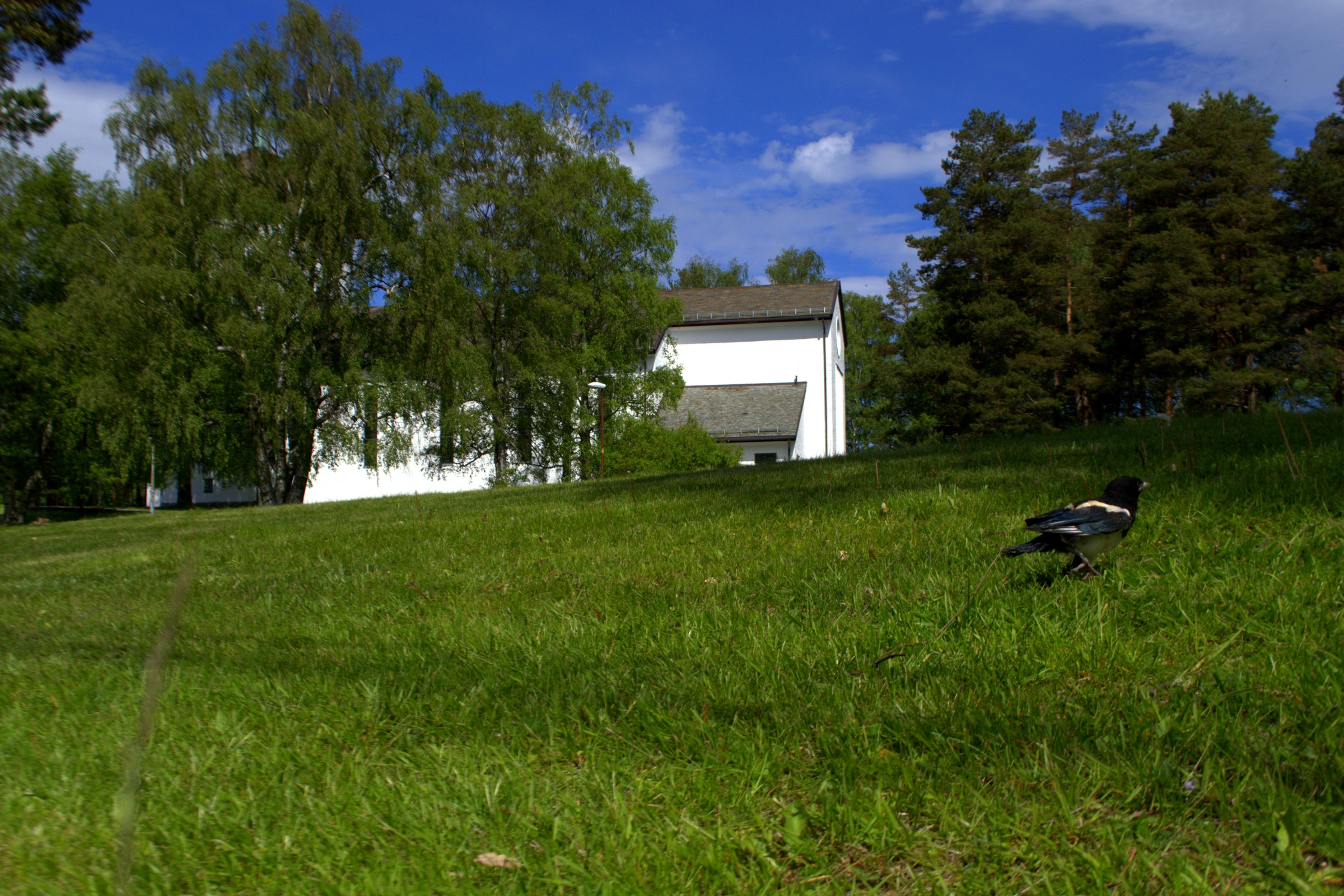 Gazza Village.webp